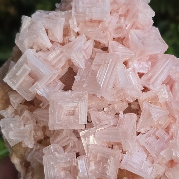 Halite Ca - Picture 5 of 5